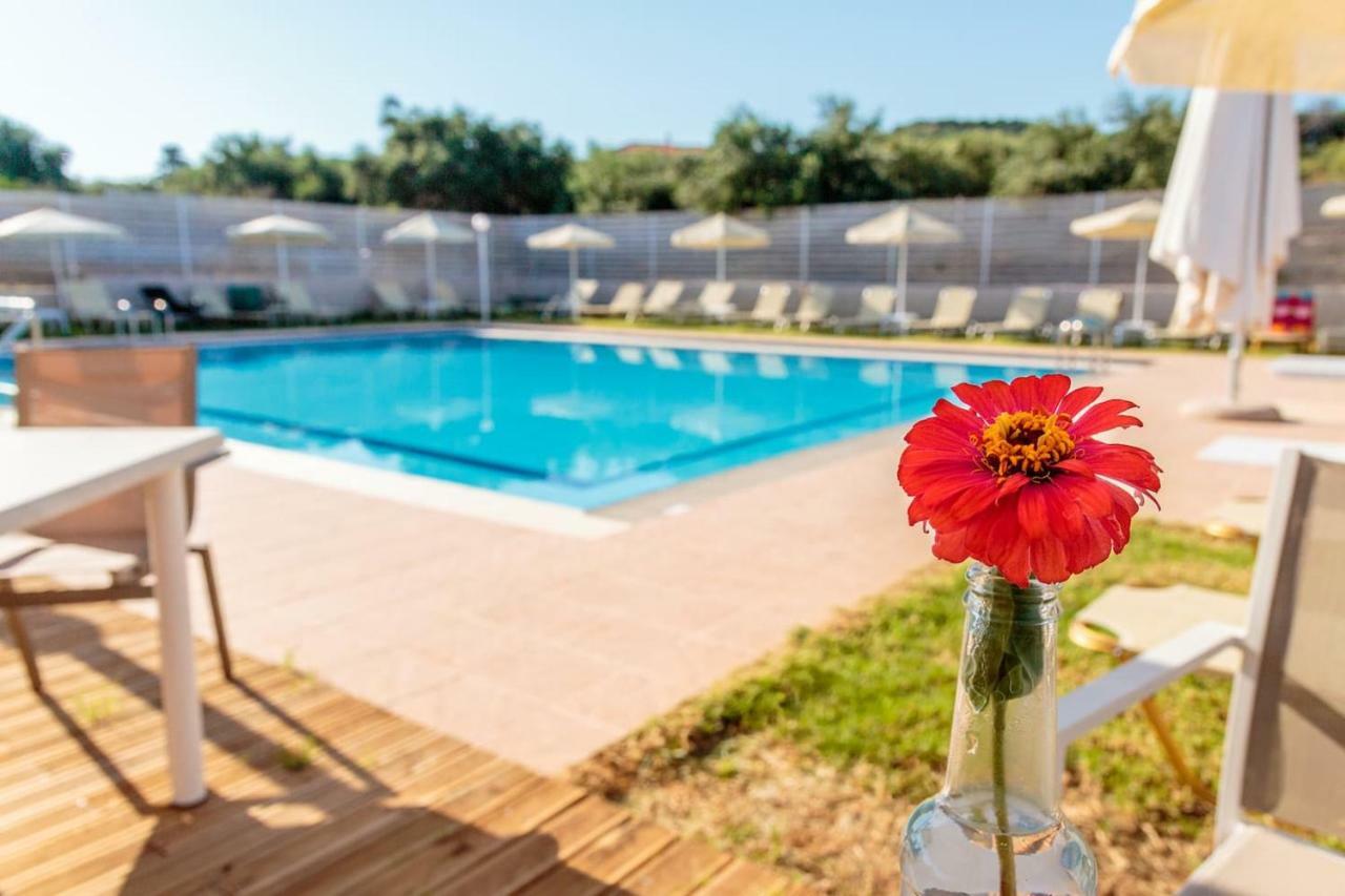 Agia MarinaCharming And Comfy House公寓 外观 照片